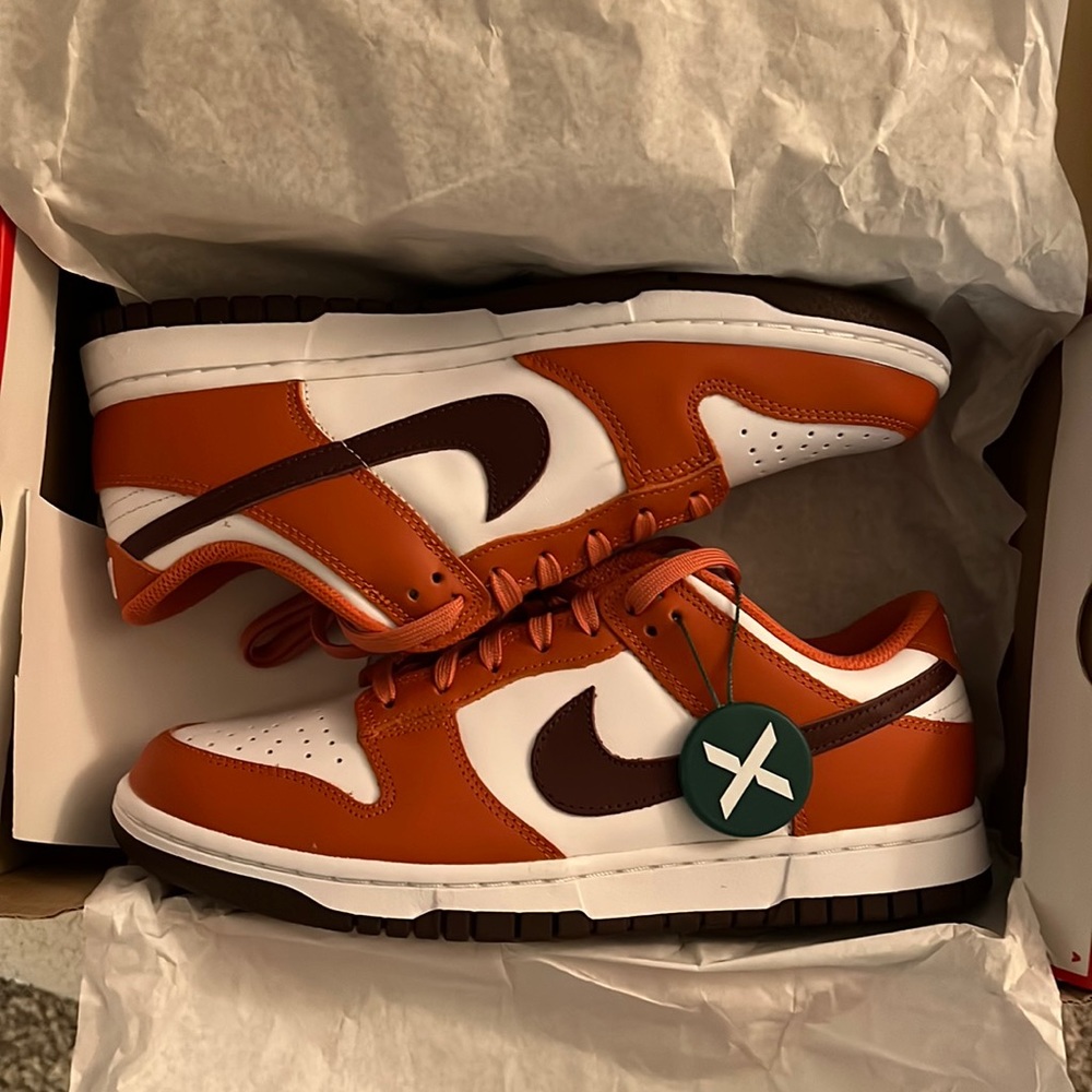 BRAND NEW NIKE DUNK LOW
